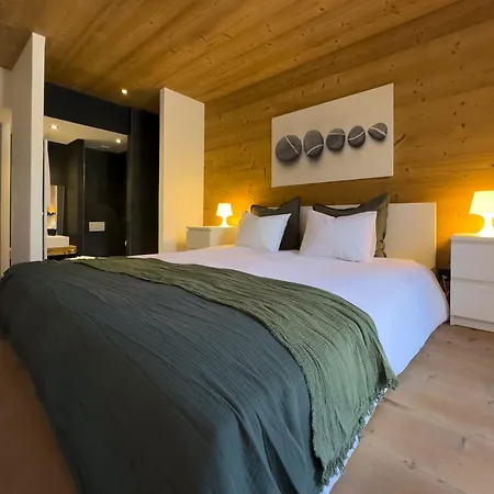 Le Cocon Des Alpes - Au Coeur Du Village De Leysin
